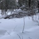 Фотография от Наталья Панюкова (Мальцева)