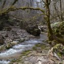 Фотография "Приток р.Белая. По маршруту к водопадам Руфабго. 2.04.24г."