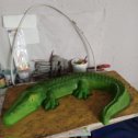 Фотография "Вот такой крокодильчик будет ползать в цветнике."