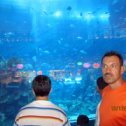 Фотография "Где-то в Арабских Эмиратах у аквариума с рыбками и аквалангистами."