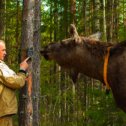 Фотография "показываю лосихе где нужно  отмечаться"