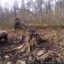 Фотография от Роман Непомнящий