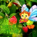 Фотография от КУРОЧКА ГРИЛЬ С ДОСТАВКОЙ ВАКУУМ УПАК√4