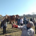 Фотография от Альфия Хайруллина