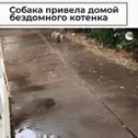 Фотография от Соня Зайцева