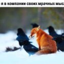 Фотография от Владимир Никитин
