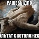 Фотография от Исмаил И