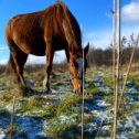 Фотография от Нарина Карапетян