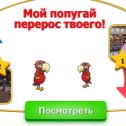 Фотография "светлана, мой попугая перерос твоего. Попробуй догони! http://www.ok.ru/game/1142001664"