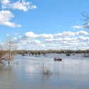 Фотография "Тобол. Паводок - 2024. Вода прибывает..."