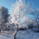 Фотография от Артикали Хасанов