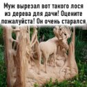 Фотография от Марина Александр Безъязыковы (иконникова)