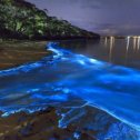 Фотография "https://www.instagram.com/p/BrAbz_wFZIU/?igref=okru
Море Звезд на острове Ваадху, Мальдивы.
Уникальные светящиеся волны на Мальдивах объясняются биолюминесценцией – химическими процессами в организме животных, при которых освобождающаяся энергия выделяется в форме света. Кажется, что в море Sea of Stars отражаются звезды с неба.
#мальдивы#морезвезд#ваадху"