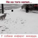 Фотография от Татьяна Белтадзе