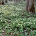 Фотография от Мария Фроленкова(Самусева)