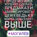 Фотография от Тюльпаны Могилёв🌷