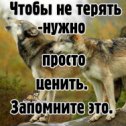 Фотография от Гордый волк))))