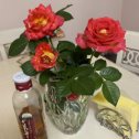 Фотография "Непередаваемый аромат первых роз этого года!!!"