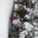 Фотография "Настюшка дочка. с первым снегом!"