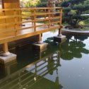 Фотография "Японский сад, парк Айвазовского."