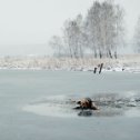 Фотография от Алексей Челышев