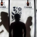 Фотография "Kamy club  [chivas party]"