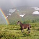 Фотография от Екатерина Бодунова