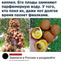 Фотография от Птица Феникс