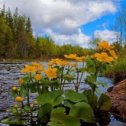 Фотография от Татьяна Алексеевна (Ключникова)