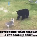 Фотография от ♪♪♪Ольга Гордеева♪♪♪