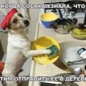 Фотография "Мне кажется эта трудяга заслуживает класс!!!!"