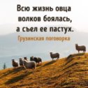 Фотография "Всю жизнь овца волков боялась, а съел её пастух 🤔"