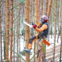 Фотография "Www.Tree-Work.ru
Начало сезона выдалось очень активным, за день обрезали около 100 деревьев)
#арбористика #treework #treeworker #arborist #ropebrothers #обрезкадеревьев #сосны #рублевка #благоустройство #ландшафтныйдизайн #озеленение #озеленениеучастка #89175465249"