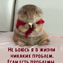 Фотография от Татьяна Озарчук(Гришкевич)