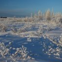 Фотография "Малый БАМ и дорога в Якутию. Если на шестой день путешествия на поезде по Транссибу не следовать каноническим маршрутом, а в районе станции Сковордино свернуть ровно на север, оказываешься на дороге, которую можно легко назвать самой экстремальной в мире. Судите сами; годовая разница температур здесь - больше ста градусов. Почти везде полотно уложено на зыбкую мерзлоту. Поздней осенью на магистрали, южную часть которой ещё называют Малым БАМом, начинает действовать такая странная единица измерения, как температуро-километр. Каждые сто километров к северу дают заметное уменьшение температуры на 5-10 градусов.​ Из Сковордино мы выехали в первые кусачие морозцы, а уже ближе к Тынде ощутили то, что на европейской части зовется суровой зимой. Дальше все было только жестче и холоднее. И нигде в мире мы не видели такого чистого белого снега. ФотоДенис Дьяконов. #север #снег#фильм #сибирь #бам#adventures #traveling #мосты #travelgram #travelling #travelingram #bridges #travelphotography #traveltheworld #travelblog #instatravel #instatraveling #instatrip #instatag #горы #boat #mytravelgram #trip #tourism #горы #транссиб#railway"