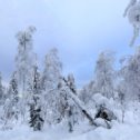 Фотография от Иван Веденеев