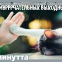 Фотография "Хочешь поздравить друзей красивой открыткой? Заходи к нам! http://www.odnoklassniki.ru/app/minutta"