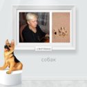 Фотография "Создайте портрет друга в приложении «Галерея друзей» ok.ru/app/gallery"