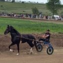 Фотография от Елена Реутова