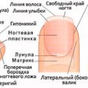 Фотография от Оксана Суркова