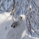 Фотография от Светлана Беззубикова