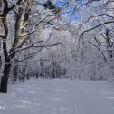 Фотография от Галина Чурюкина