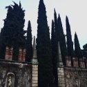 Фотография "🗓 December, 2017
⠀
Bella Verona! Part 13. 😍🌳🇮🇹🌲🤩
⠀
#verona #italia #italy #europe #december #winter #travel #traveling #garden #trees #wellwodtravels #wellwod_verona #wellwod_italy #lategram #throwback #верона #италия #европа #декабрь #зима #путешествие #сад #деревья #vsco #vscocam #vscoonly #vscoverona #vscoitaly #vscoitalia #vscoeurope"