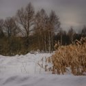 Фотография от Татьяна Петренко