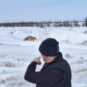 Фотография от Сергей Прокопьев