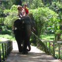 Фотография "Sri Lanka, 2008
riding elephant"