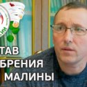 Фотография "Что нужно знать выбирая удобрение для малины - https://youtu.be/PjQFYbueZYY"