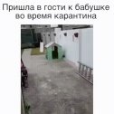 Фотография от надежда паршина