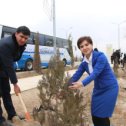 Фотография от Karakalpak State University