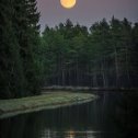 Фотография "луна над лесом ..."